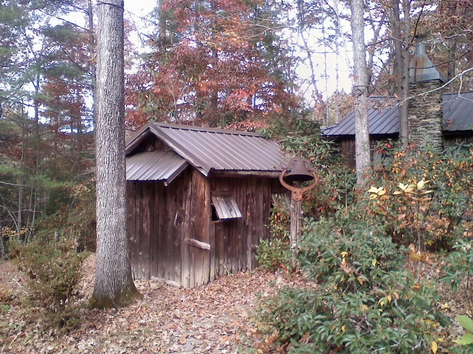 Small metal roof on a rough sawn shed in the woods in Powers